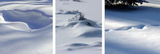 Rouler sur la neige